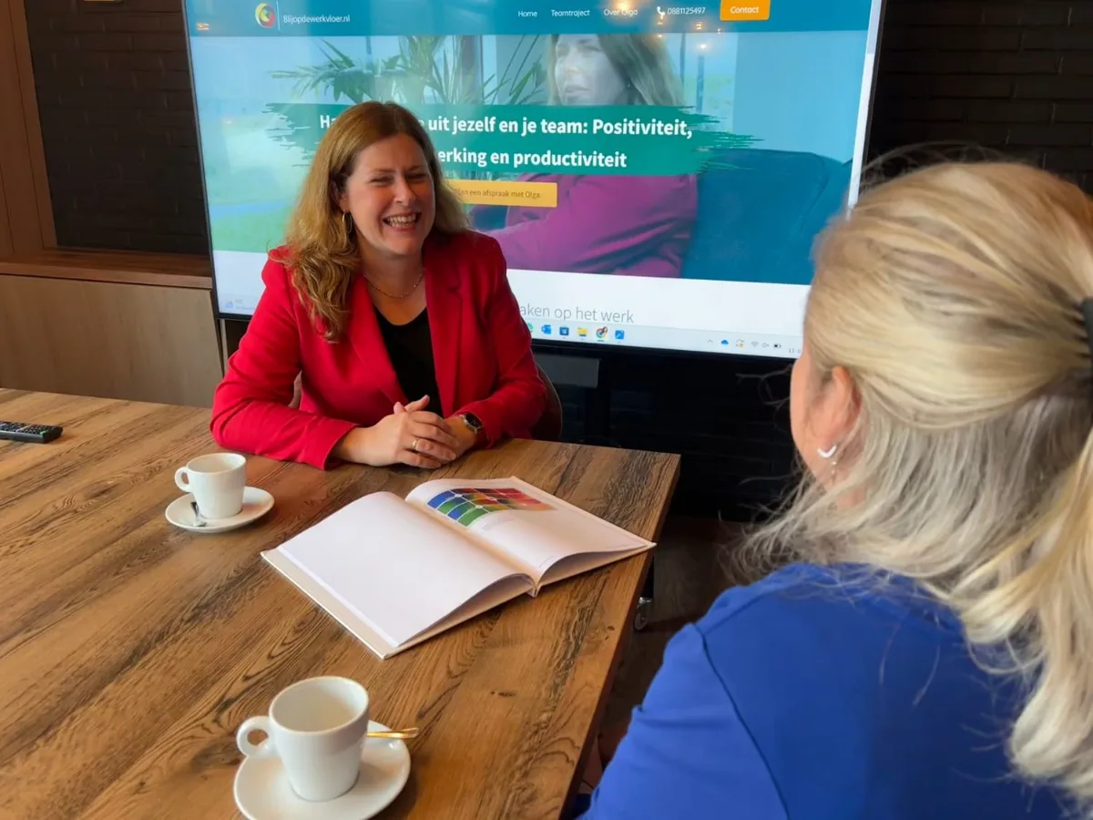 Team werkt met de DISC-kleuren tijdens de training gedrag en communicatie van Whyskills.